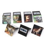 Bookmark Magnets_Night Safari 2