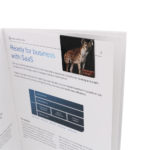 Bookmark Magnets_Night Safari 3