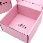 Mailer Box_Rraw Singapore 1