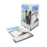 Brochure Printing_Avaloq 1