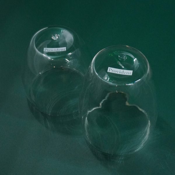 Provident – Custom Glass Cup 3