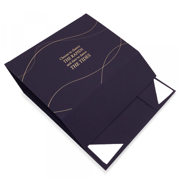 Foldable Gift Box (3)