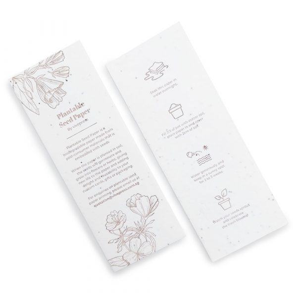 seed paper