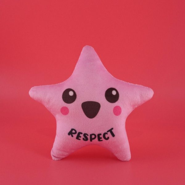 Chong Zheng Primary School Custom Soft Toys (3)