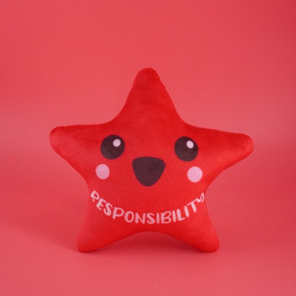 Chong Zheng Primary School Custom Soft Toys (4)