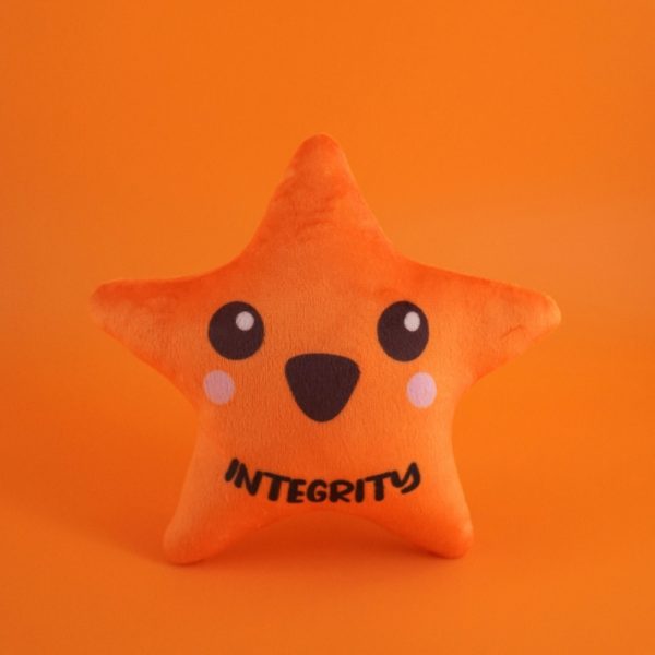 Chong Zheng Primary School Custom Soft Toys (6)